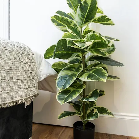 Lägenhet Tranquil Riverfront Oasis At High Bridge Court *